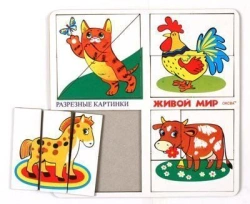 Cut-out pictures "Living World"