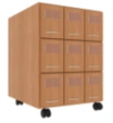 Formular mobile module for dispensing department, 9 drawers