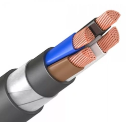 Power cables for voltage 0,66 kV, 1 kV with copper conductive conductors: VBShv ng(A).