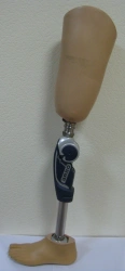 Hip prosthesis for therapeutic training