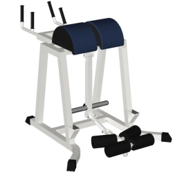 Reverse hyperextension (free weights)