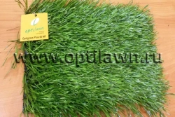 Artificial grass Optigrass PLUS 60 MF