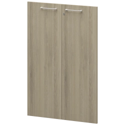 Doors KZF-38 (set of 2 pcs.)