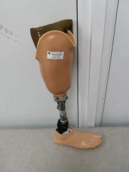 Modular tibia prosthesis, including underdevelopment PN3-89M-1