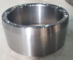 MR2205 Internal ring (232726.02)