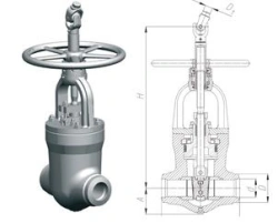Gate valve 1016-250-CZ