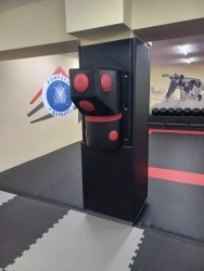 Wall boxing cushion