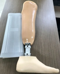 Tibial prosthesis for bathing