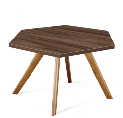 Coffee table Sheffilton SHT-S39/TT20 70 LDPE