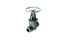 Gate valve 1126-150-M