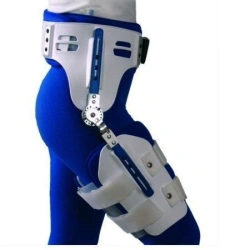 Hip apparatus
