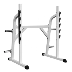 Bench for presses and squats