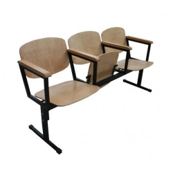 Block of auditorium chairs