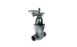 Gate valve 1016-250-CZ