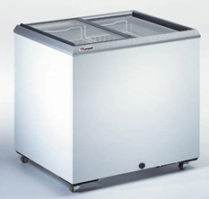 Freezer cabinet, KLIMASAN brand, model D 300 DFSG FF+
