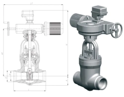 Gate valve 1015-150-E