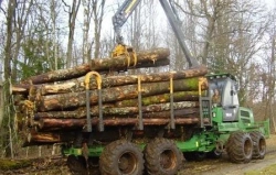 Amkodor 2682-01 Forwarder wheeled machine