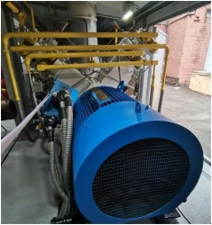 Piston compressor on frame for natural gas compression KPG-125E.01.000