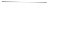Sewing needle 4300 mm, item 500.001