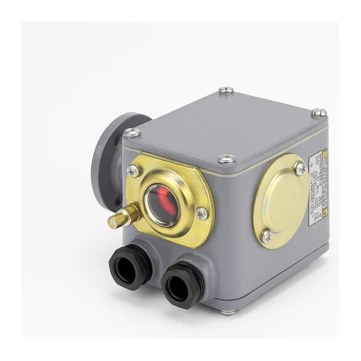Industrial Switches & Disconnectors