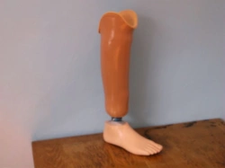 Tibial prosthesis for bathing PH3-87K