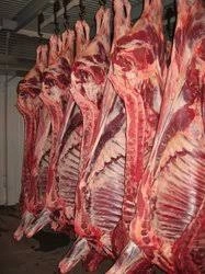 Beef meat 1 category meat frozen in half carcasses
