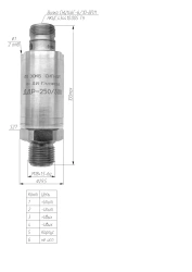 Fuel pressure sensor DDR-250/300