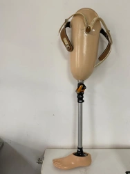 Training hip prosthesis PN6-72LT