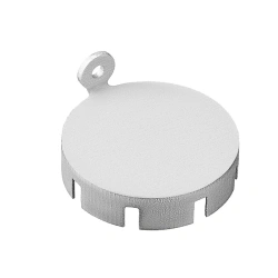 Metal plug (shielding) for Matrix port