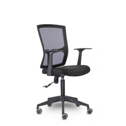 Stanford chair