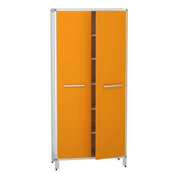 Cabinet for storage of medicines according to TU 32.50.30-007-32924160-2021, article number DM-2-101-16.K2.F2.