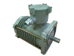 Electric motors asynchronous three-phase explosion-proof ELAS-M-X-X-X-X-X-UHL1 (OKPD2: 27.11.23)