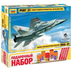 Gift set "MiG-31 aircraft".