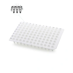 Non-sterile plate for PCR-diagnostics according to TU 32.50.50-011-48072026-2022, variants of execution: 96-well PCR plate witho