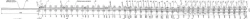 Frame rail with shank of P65 type 1/18 (project 2870.02.000-02/-03)