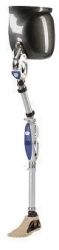 Modular hip replacement, PN8-OB