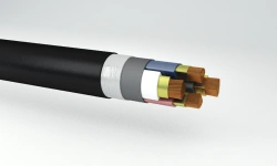 Power cables, flame-retardant, not spreading combustion, with copper conductors with plastic insulation for rated voltage 1
