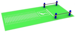 Two-Legged Push Long Jump with a marking of at least 320 cm SC