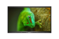 Interactive panels Geckotouch Interactive RI series (FTPD.466219.004)