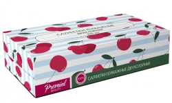 Two-Ply White Paper Napkins in Box for Everyday Use 1/100/21