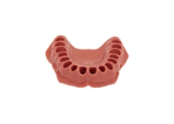 Gingiva for mandible of standard dental model, 28 teeth PD-DN M28