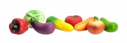 Set of vegetables
