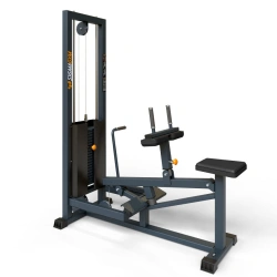 BF-110 Sit-up shin machine