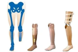 Therapeutic and training tibia prosthesis