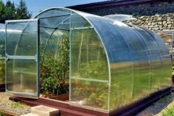 Greenhouse "Etalon"