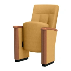 Wood frame auditorium chair Assembly model