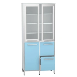 Cabinet for storage of medicines according to TU 32.50.30-007-32924160-2021, article number DM-3-101-19.K2.F3.