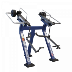 Biceps in standing position with variable load