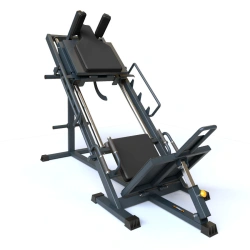 BF-202.1 Leg Press - Gak Machine Combination