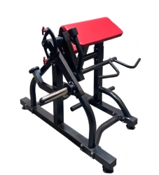 Biceps + triceps machine on free weights